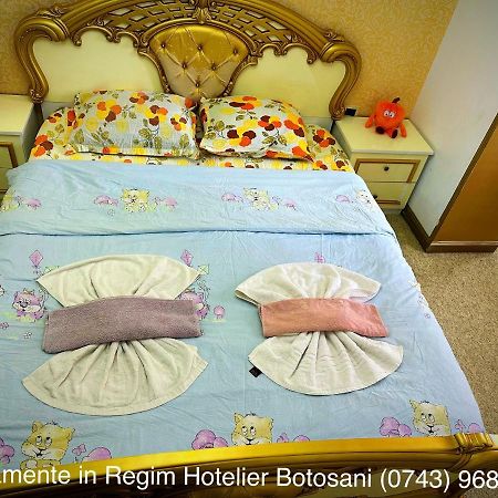 Apartament De Lux Zona 0 Botosani 2 Camere מראה חיצוני תמונה