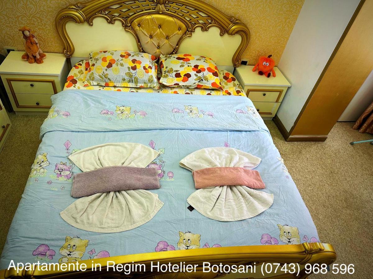 Apartament De Lux Zona 0 Botosani 2 Camere מראה חיצוני תמונה